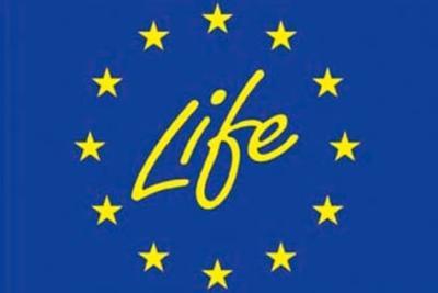 Agrandir l'image 6 sur 6, fenêtre modale