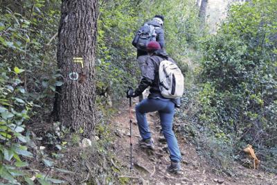 des personnes sur un chemin balisé en pleine forêt - Agrandir l'image 1 sur 5, fenêtre modale