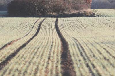 Agrandir l'image 3 sur 5, fenêtre modale