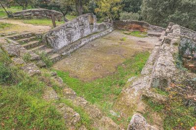 Ancienne structure en pierre avec escaliers et bassin rectangulaire creusé, recouvert de mousse et herbe, dans un environnement boisé. - Agrandir l'image 6 sur 6, fenêtre modale