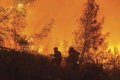 Agrandir l'image 3 sur 4, fenêtre modale