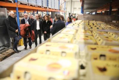 Agrandir l'image 9 sur 11, fenêtre modale