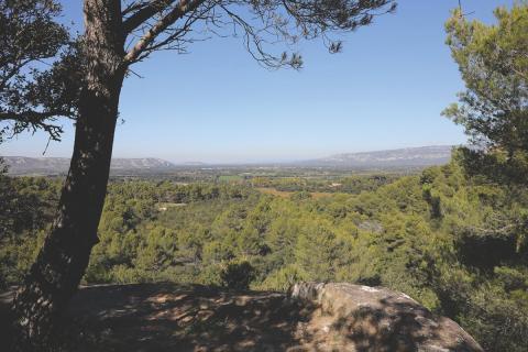Vue panoramique sur une vallée verdoyante avec des collines boisées, prise depuis un point élevé ombragé par des arbres.