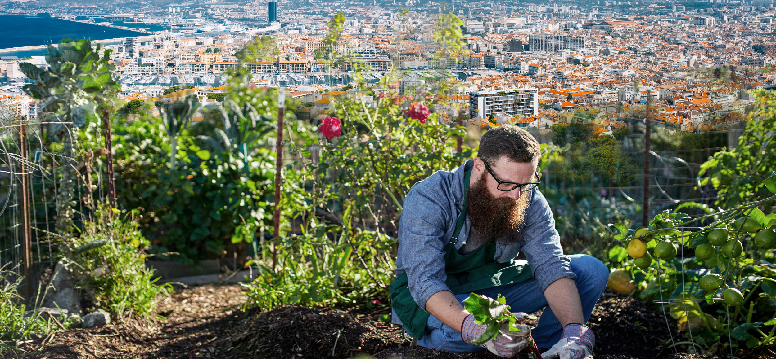 L Agriculture Urbaine Les Engagements Agriculture Nos Actions Site Du Departement Des Bouches Du Rhone